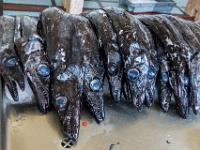 Degenfisch Fang in der Fischhalle Funchal